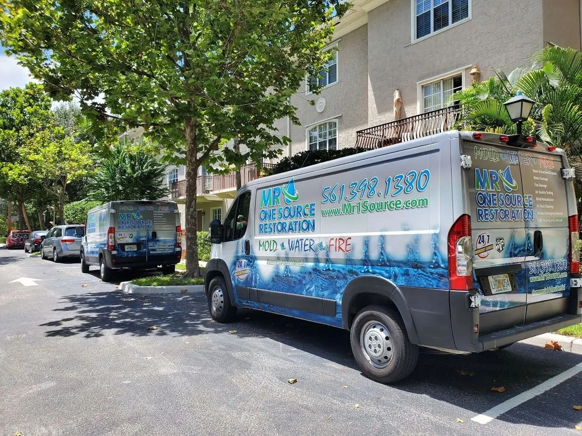 Prevent Mold Growth Before It Starts